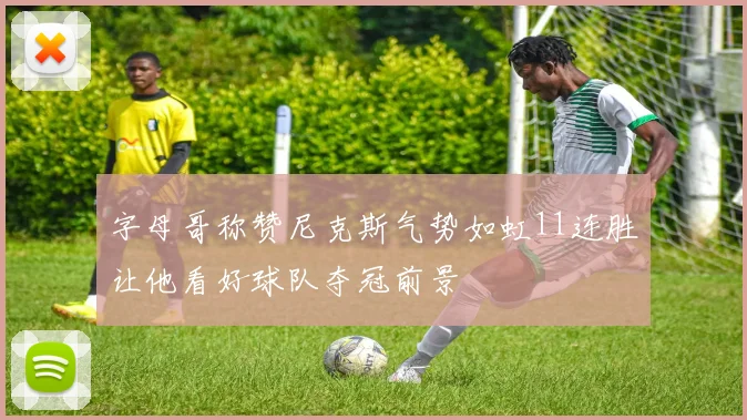 字母哥称赞尼克斯气势如虹11连胜让他看好球队夺冠前景
